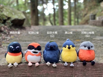 圖1. 森林羽精靈-新竹分署提供